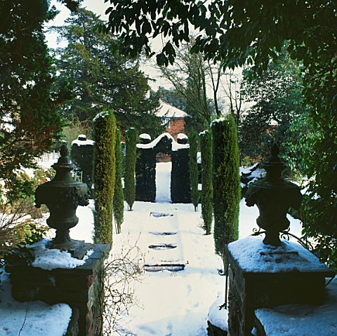 THE_LITTLE_SUNKEN_GARDEN_IN_SNOW_WITH_AVENUE_OF_TAXUS_BACCATA_FASTIGIATA___ARCH_OF_CLIPPED_YEW__GATA