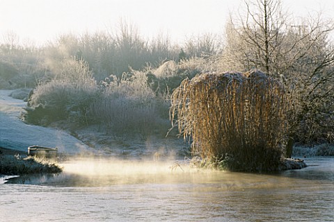 MIST_RISES_OFF_THE_LAKE__AT_LADY_FARM__SOMERSET
