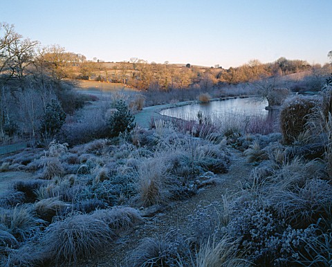 STEPPE_PLANTING_AND_THE_LAKE_IN_FROST__LADY_FARM__SOMERSET