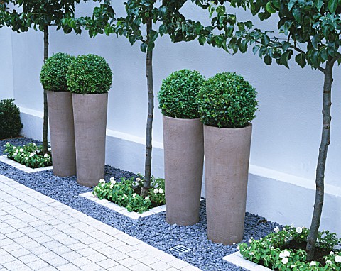 COURTYARD__ICE_WHITE_SAWN_GRANITE_SETTS__EARTHENWARE_POTS_PLANTED_WITH_BOX_BALLS__ESPALIERED_PYRUS_C