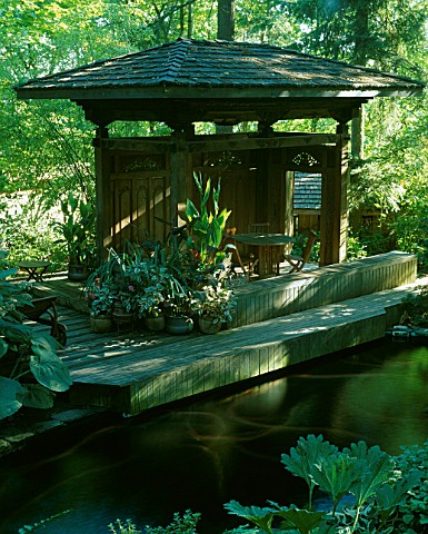 KOI_POND_AND_INDONESIAN_GAZEBO_IN_THE_WOODLAND_GARDEN_DESIGNERS_ILGA_JANSONS_AND_MIKE_DRYFOOS
