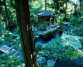 KOI POND AND INDONESIAN GAZEBO IN THE WOODLAND GARDEN. DESIGNERS: ILGA JANSONS AND MIKE DRYFOOS