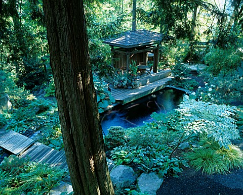KOI_POND_AND_INDONESIAN_GAZEBO_IN_THE_WOODLAND_GARDEN_DESIGNERS_ILGA_JANSONS_AND_MIKE_DRYFOOS