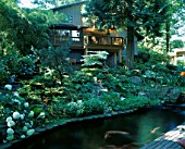 THE HOUSE SEEN FROM THE KOI POND. DESIGNERS: ILGA JANSONS AND MIKE DRYFOOS