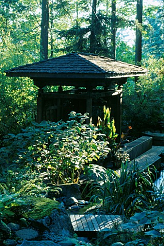 THE_INDONESIAN_GAZEBO_AND_KOI_POND_IN_THE_WOODLAND_DESIGNERS_ILGA_JANSONS_AND_MIKE_DRYFOOS