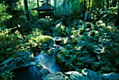 WATERFALL TUMBLE DOWN A HILL INTO THE KOI POND WITH INDONESIAN GAZEBO BESIDE IT IN THE WOODLAND  DESIGNERS: ILGA JANSONS AND MIKE DRYFOOS  SEATTLE  USA