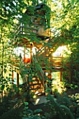 THE MULTI STOREY TREE HOUSE IN THE WOODLAND. DESIGNERS: ILGA JANSONS AND MIKE DRYFOOS  SEATTLE  USA