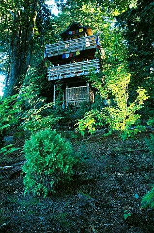 THE_MULTI_STOREY_TREE_HOUSE_IN_THE_WOODLAND_DESIGNERS_ILGA_JANSONS_AND_MIKE_DRYFOOS__SEATTLE__USA
