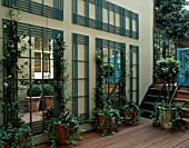 COURTYARD WITH DECKING  MIRRORS  TRELLIS  TERRACOTTA POTS WITH TRAILING IVY AND BRICK WALL. DESIGNER: CLAIRE MEE