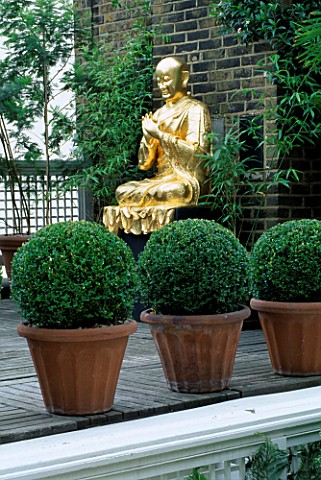GOLD_BUDDHA_AND_BOX_BALLS_ON_A_ROOF_GARDEN_DESIGNED_BY_CLAIRE_MEE