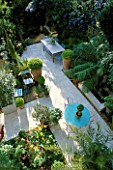 VIEW ONTO SMALL GARDEN WITH ITALIAN HARD LIMESTONE FLOOR AND TABLE  BLUE CAFE CHAIRS  WATER FEATURE AND TERRACOTTA POTS WITH BOX BALLS. DESIGNER: LISETTE PLEASANCE