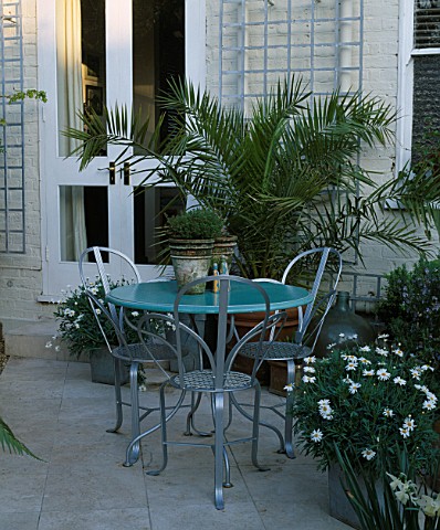 SMALL_GARDEN_WITH_ITALIAN_HARD_LIMESTONE_FLOOR__BLUE_TABLE__METAL_CHAIRS_AND_WHITE_MARGUERITES_DESIG