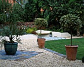 BLUE GLAZED POT ON GRAVEL PATIO PLANTED WITH A JELLY PALM (BUTIA CAPITATA) WITH TWO CLIPPED HOLLIES IN TERRACOTTA POTS. DESIGNER: CLARE MATTHEWS