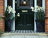 MONT BLANC LILIES IN BLACK ZINC CONTAINERS EITHER SIDE OF GREEN DOORS. DESIGNER: CLARE MATTHEWS