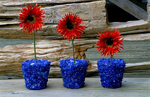 BLUE_GLASS_CONTAINER_PLANTED_WITH_FAKE_RED_GERBERA_CLARE_MATTHEWS_PROJECT