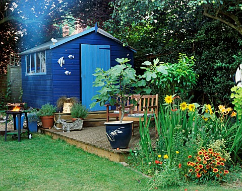 COLOURFUL_BORDERS_AND_BLUE_SUMMERHOUSE_WITH_DECKING_IN_ROSEMARY_PEARSONS_GARDEN__READING
