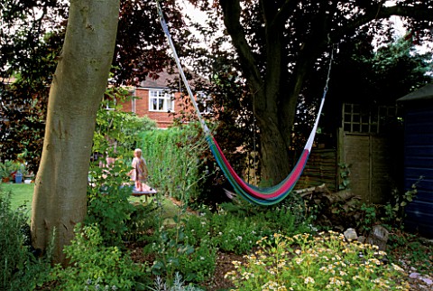 A_HAMMOCK_STRUNG_BETWEEN_TWO_TREES_IN_ROSEMARY_PEARSONS_GARDEN__READING
