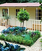 FAMILY POTAGER BY CLARE MATTHEWS: GRAVEL  CABBAGES  CLIPPED BOX AND BAY AND A SUMMERHOUSE