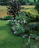 LAUNA SLATTERS GARDEN  OXFORDSHIRE: GREEN WOODEN BENCH  MAPLE  SUNDIAL AND WHITE AND BLUE BORDER
