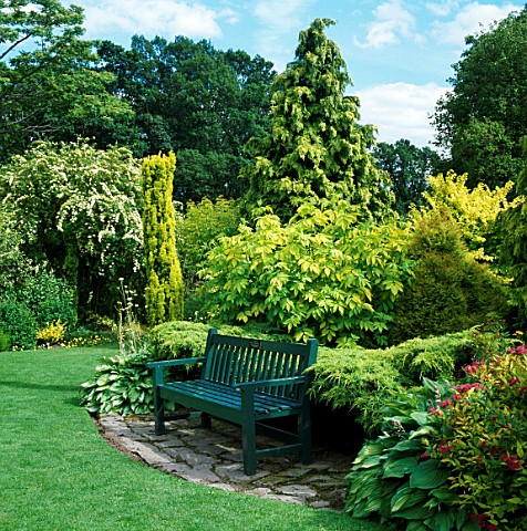 SEAT_SURROUNDED_BY_YELLOW_FOLIAGE_IN_THE_GOLDEN_GARDEN_AT_CRATHES_CASTLE__SCOTLAND