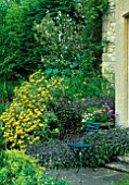 BORDERS BY THE HOUSE WITH PHLOMIS FRUTICOSA AND SALVIA. DESIGNER: ANGEL COLLINS