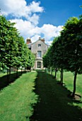 AVENUE OF PLEACHED HORNBEAMS WITH THE HOUSE BEHIND. DESIGNER: ANGEL COLLINS