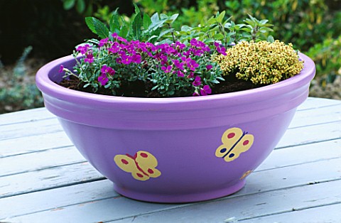 BUTTERFLY_CONTAINER_PLANTED_WITH_AUBRETIA__THYME__SCABIOUS_AND_MARJORAM_DESIGNERS_CLARE_MATTHEWS_NAN