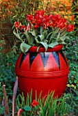 RED AND BLACK TERRACOTTA CONAINER PLANTED WITH RED ROCOCO TULIPS. DESIGNER: CLARE MATTHEWS