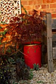 RED AND GOLD TERRACOTTA CONTAINER PLANTED WITH ACER DISSECTUM GARNET. DESIGNER: CLARE MATTHEWS
