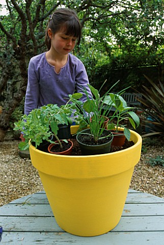 PASTA_POT_PROJECT_BY_CLARE_MATTHEWS_NANCY_POSITIONS_PLANTS_IN_CONTAINER