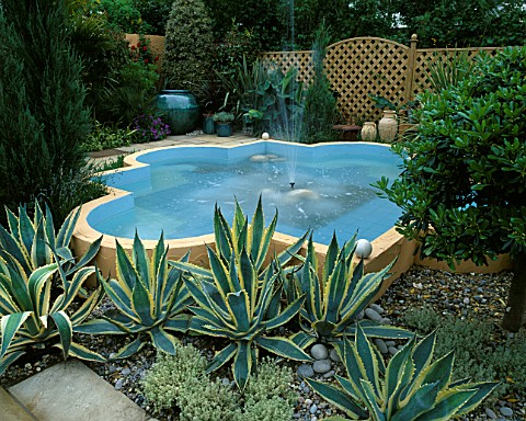 MEDITERRANEAN_STYLE_GARDEN_VARIEGATED_AGAVES_SURROUND_SHAPED_POND_WITH_SMALL_FOUNTAIN_POTS_BEYOND_TH