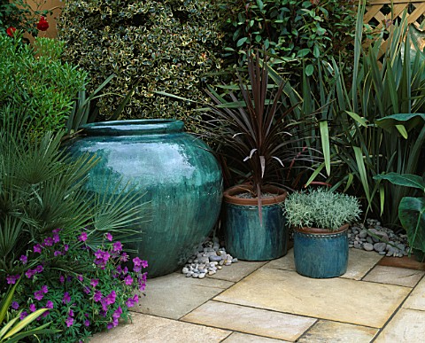 BLUE_GLAZED_CONTAINERS_WITH_CORDYLINE_AND_SANTOLINA_AND_PHORMIUMS_BEHIND_THE_GOLDFISH_GARDEN__CHELSE