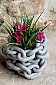 CHAIN CONTAINER BY CLARE MATTHEWS PLANTED WITH RHODOHYPOXSIS BAURII