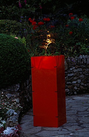 DESIGNER_CLARE_MATTHEWS_ORANGE_ACRYLIC_CONTAINER_PLANTED_WITH_SAMBUCUS_BLACK_LACE__AND_LIT_UP_AT_NIG