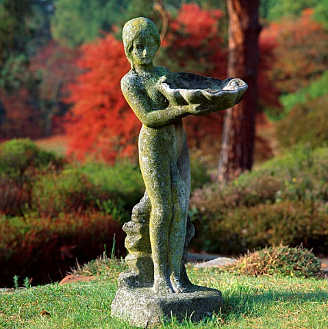 STATUE_OF_GIRL_HOLDING_SHELL_BIRDBATH__WITH_AUTUMN_COLOURS_IN_BG__PYRFORD_COURT__SURREY