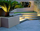 RAISED BED WITH CYCAS REVOLUTA  CONCRETE APERTURE WITH JELLY PALM (BUTIA CAPITATA) AND SCULPTURE LIT UP AT NIGHT IN SMALL COURTYARD. DESIGNER: AMIR SCHLEZINGER/MY LANDSCAPES