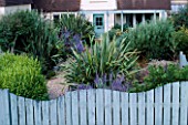 SEASIDE GARDEN: FRONT GARDEN WITH BLUE WOODEN WAVE SHAPED FENCE WITH PEROVSKIA AND PHORMIUM TENAX VARIEGATUM. DESIGNER: MARK LAURENCE
