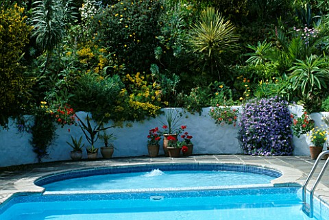 DESIGNER_JANE_RUSSELL__MILLE_FLEURS__GUERNSEY_THE_SWIMMING_WITH_TERRACOTTA_CONTAINERS__AGAVE__CORDYL