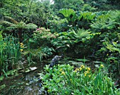 DESIGNER: JANE RUSSELL  MILLE FLEURS  GUERNSEY: POND IN THE WOODLAND WTH A HERON BY JASON LE PROVOST SURROUNDED BY DICKSONIA ANTARCTICA  GUNNERA  CYPERUS AND IRIS