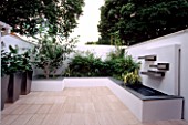 WHITE ROOF TERRACE WITH METAL CONTAINERS PLANTED WITH ZANTEDESCHIA AETHIOPICA  BETULA UTILIS VAR JACQUEMONTII DESIGNER  WATER FEATURE. DESIGN : AMIR SCHLEZINGER/ MY LANDSCAPES