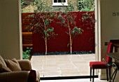 ROOF TERRACE DESIGNED BY WYNNIATT - HUSEY CLARKE: VIEW OUT OF KITCHEN TO LIMESTONE TERRACE WITH RED WALL AND BETULA UTILIS JACQUEMONTII