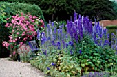 THE PRIORY  BEECH HILL  BERKSHIRE: WOODEN BENCH  WITH AMERICAN PILLAR ROSE TRAINED OVER TRELLIS  WITH DELPHINIUMS AND LYCHNIS CORONARIA