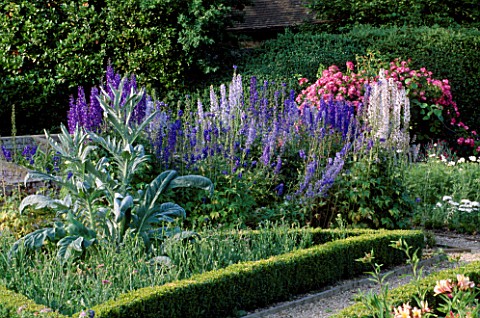 THE_PRIORY__BEECH_HILL__BERKSHIRE_AMERICAN_PILLAR_ROSE_TRAINED_OVER_TRELLIS__DELPHINIUMS_AND_CARDOON