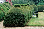 THE PRIORY  BEECH HILL  BERKSHIRE: SEAT AND YEW HEDGING