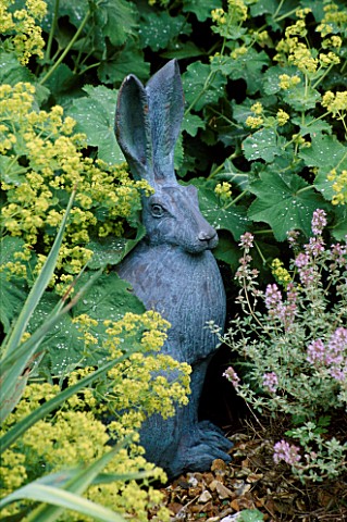 HORACE_THE_HARE_SCULPTURE_BY_DENNIS_FAIRWEATHER_SURROUNDED_BY_ALCHEMILLA_MOLLIS_AND_THYMUS_SILVER_PO