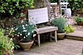 BENCH MADE OF LEFT OVER DECKING WITH CONTAINERS OF ARGYRANTHEMUM CHELSEA GIRL. THE FOVANT HUT  WILTSHIRE