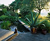 VIEW OF DECK WITH POOL  AGAVE AMERICANA IN CONTAINER AND AN ASH TREE. THE FOVANT HUT  WILTSHIRE