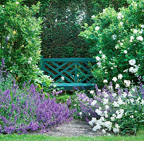 SECLUDED_SEAT_AT_TINTINHULL_HOUSE_GARDEN__SOMERSET