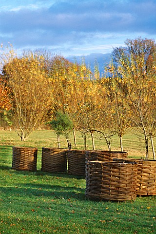 WINDRUSH_WILLOW__DEVON_WILLOW_COMPOST_BINS_BY_RICHARD_AND_SUZANNE_KERWOOD