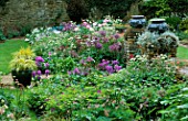 PETTIFERS  OXFORDSHIRE: BORDER BY THE HOUSE WITH PEONY BOWL OF BEAUTY  ALLIUM ALBOPILOSUM  STACHYS MACRANTHA SUPERBA AND LEAD URNS